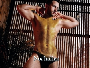 noahallen SexyIdol