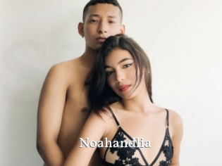 Noahandlia
