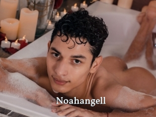 Noahangell
