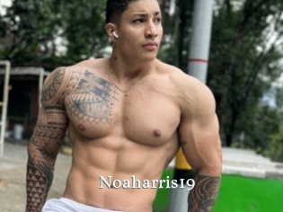 Noaharris19