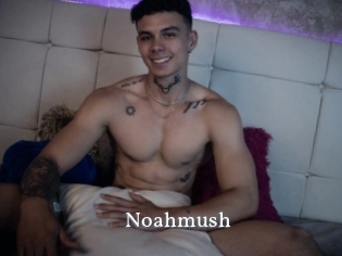 noahmush SexyIdol