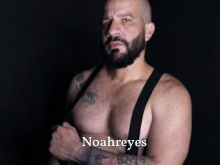 noahreyes SexyIdol