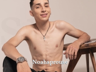 Noahsprouse