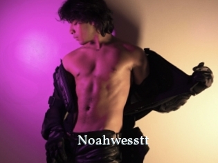 Noahwesstt