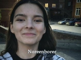 Noreenborer