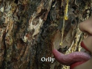 Orlly