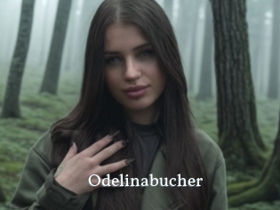 Odelinabucher