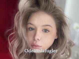 Odelindafugler