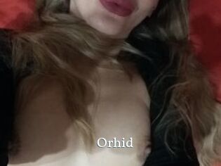 orhid SexyIdol