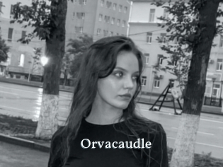Orvacaudle