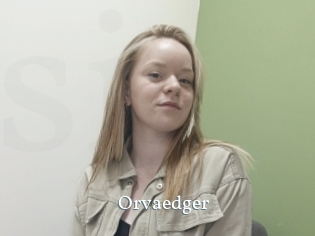 Orvaedger