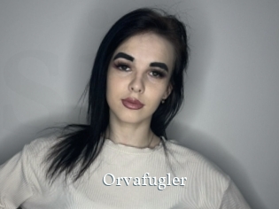 Orvafugler