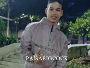 PAISABIGCOCK