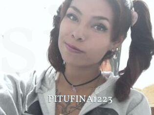 PITUFINA1223