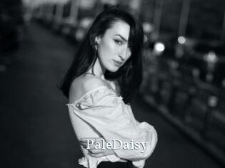 PaleDaisy