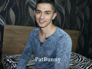 PatBunny