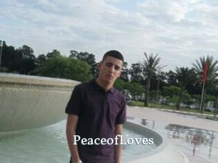 PeaceofLoves