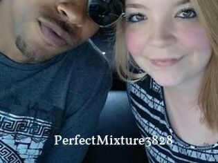 PerfectMixture3828