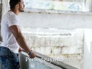 PerfectguyRobert