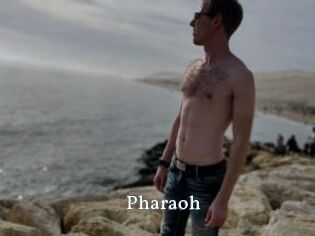 Pharaoh
