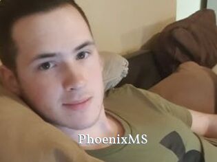 PhoenixMS