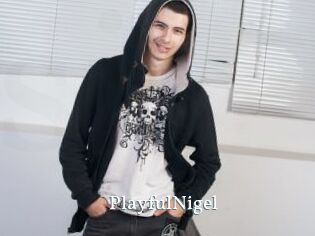 PlayfulNigel
