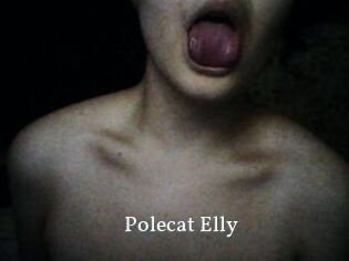 Polecat_Elly