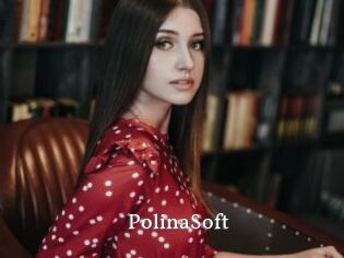 PolinaSoft