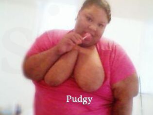 Pudgy