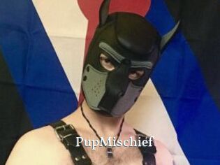 PupMischief