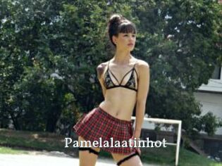 Pamelalaatinhot