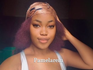 Pamelarein