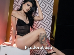 Pandorabush