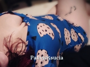 Pata305sucia