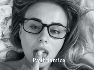 Paulinamice