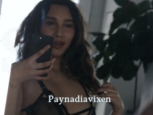 Paynadiavixen