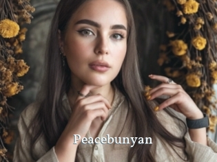 Peacebunyan
