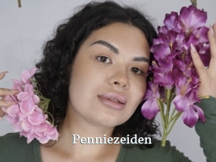 Penniezeiden