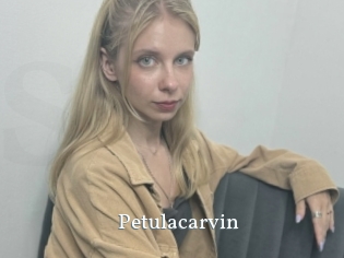 petulacarvin SexyIdol