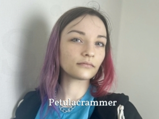 petulacrammer SexyIdol