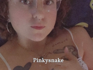Pinkysnake