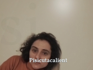 Pisicutacalient