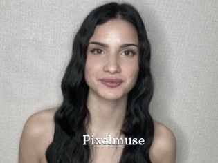 Pixelmuse