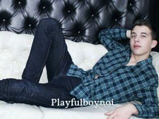 Playfulboynoi