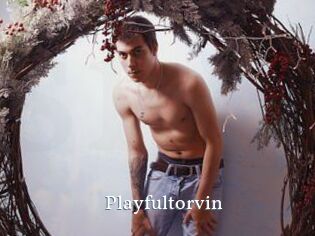 Playfultorvin