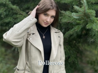 Pollerose