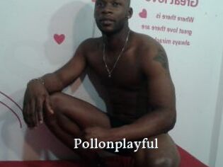 Pollonplayful