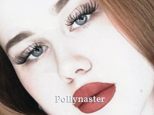 Pollynaster