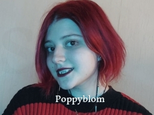 Poppyblom