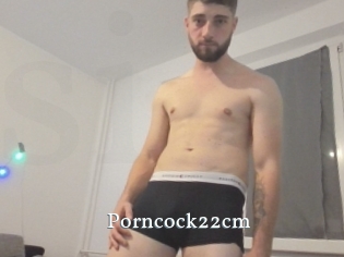 Porncock22cm